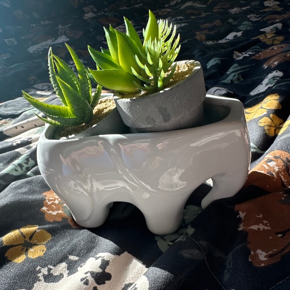 White Elephant Planter with Succulents - Picture 14 of 16
